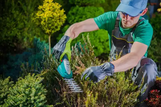 landscaping services Georgetown
